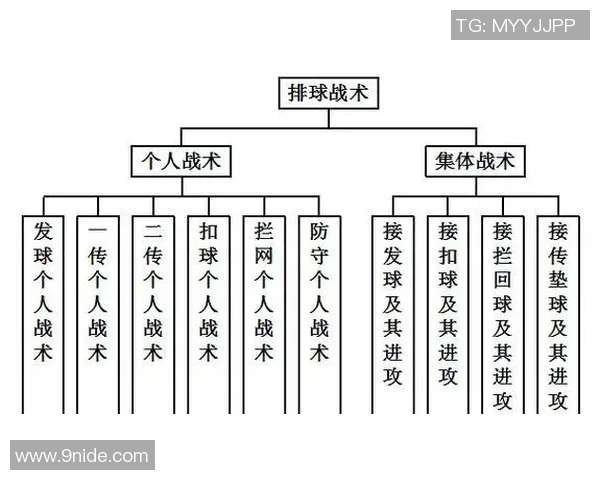 重庆排球队快攻战术解析与深度剖析全方位解读排球魅力与技巧