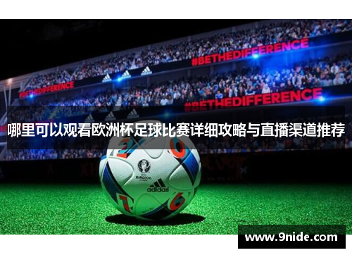 哪里可以观看欧洲杯足球比赛详细攻略与直播渠道推荐