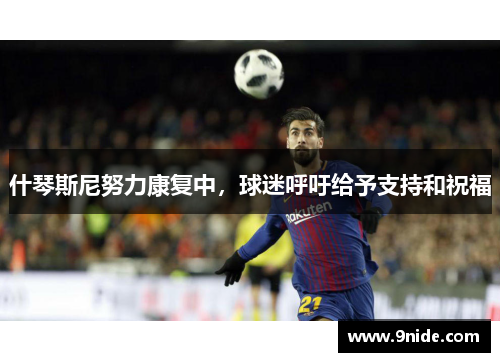 什琴斯尼努力康复中，球迷呼吁给予支持和祝福