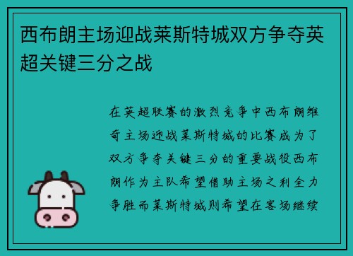 西布朗主场迎战莱斯特城双方争夺英超关键三分之战